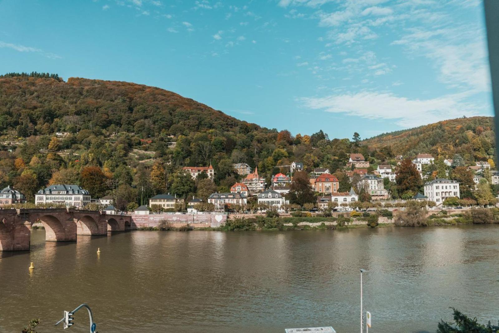 Bs Luxury Appartement Heidelberg